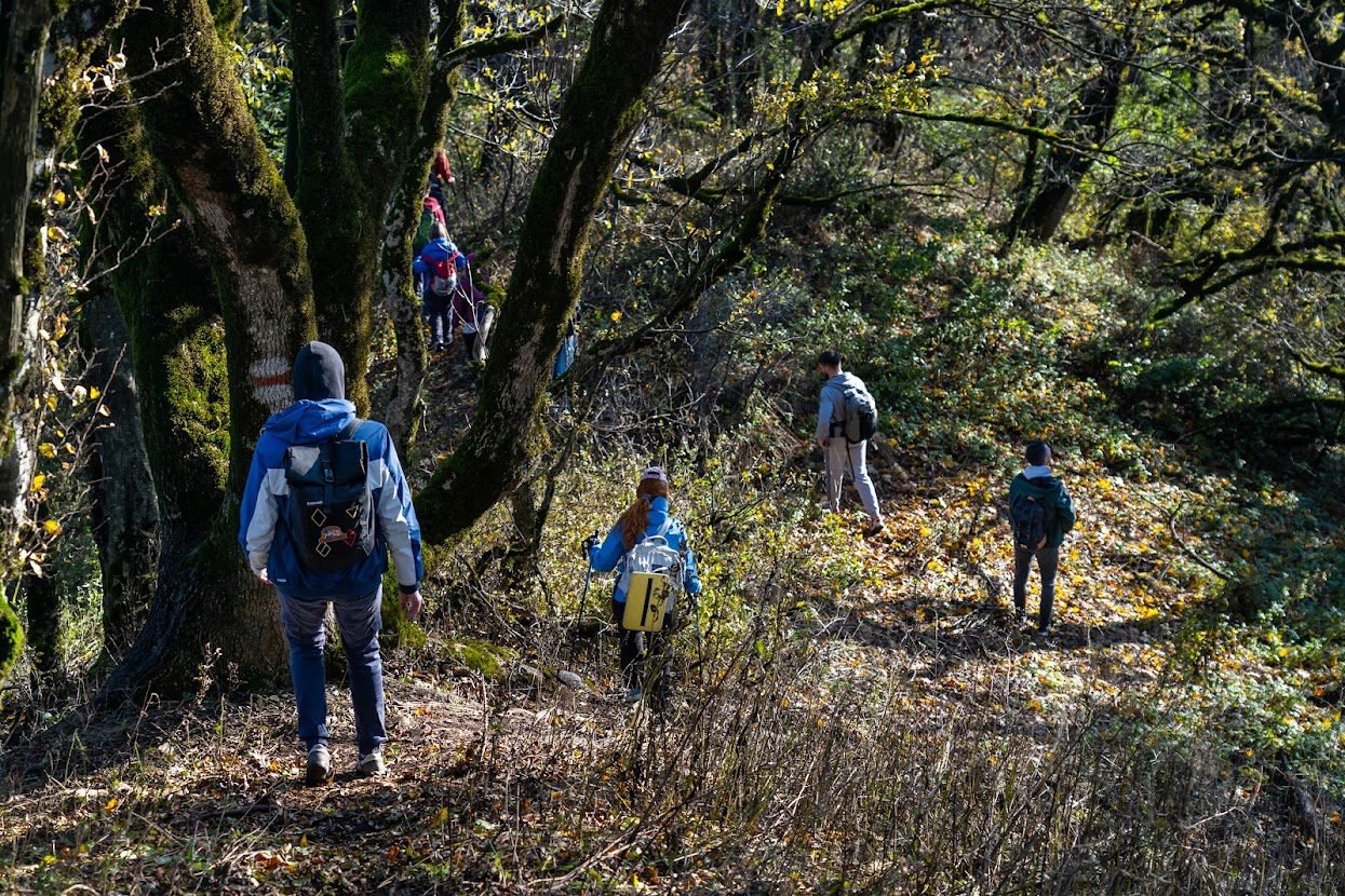 Сагурамо - фото 2