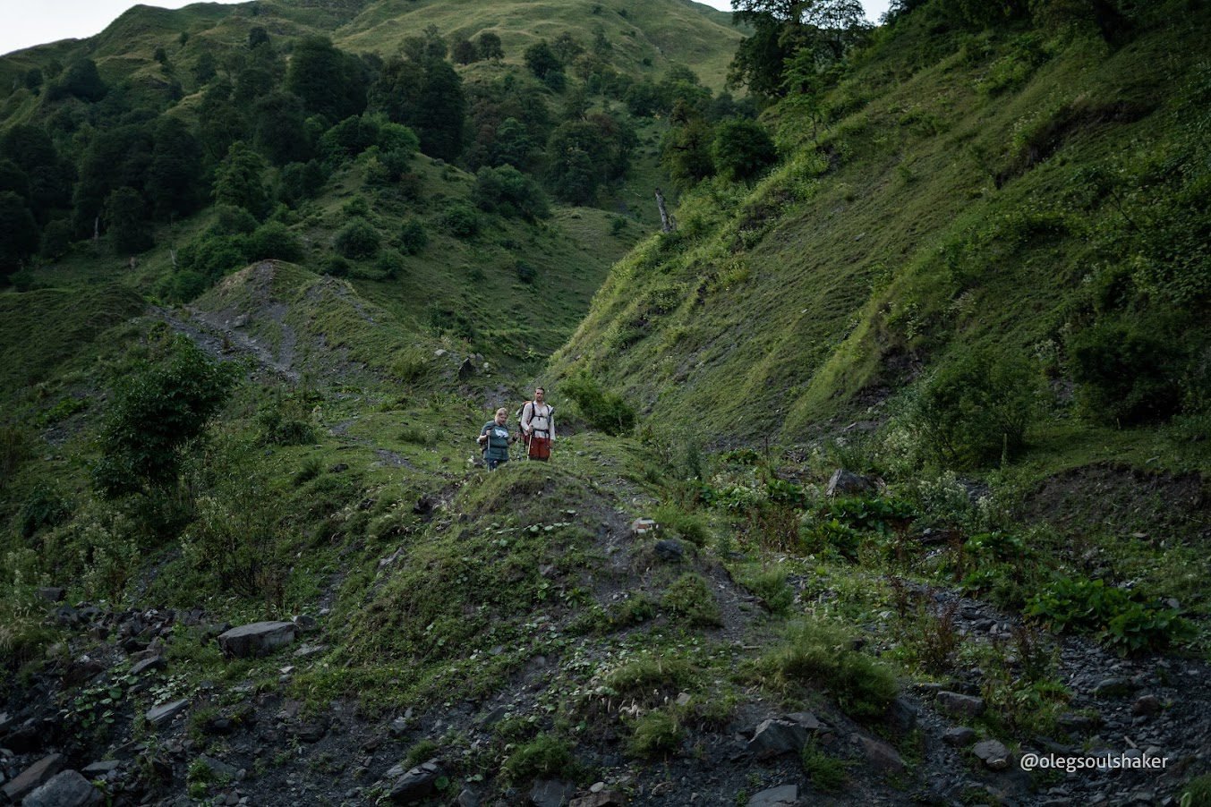 Панкиси - поход в ущелье
