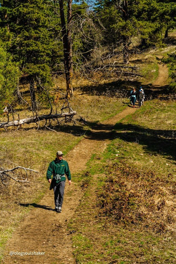 Боржоми мультитур - фото 13