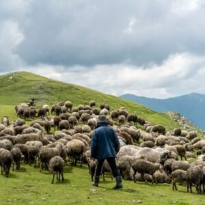 Недельный тур в Грузии - фото 9