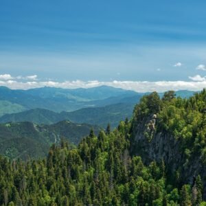 Недельный тур в Грузии - фото 8