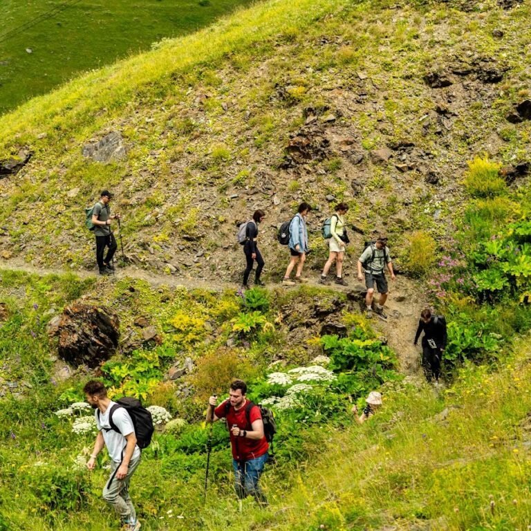 Джута казбеги - фото 2 Джута казбеги - фото 2