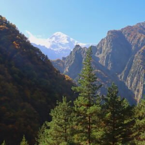Туры в Казбеги - фото 9