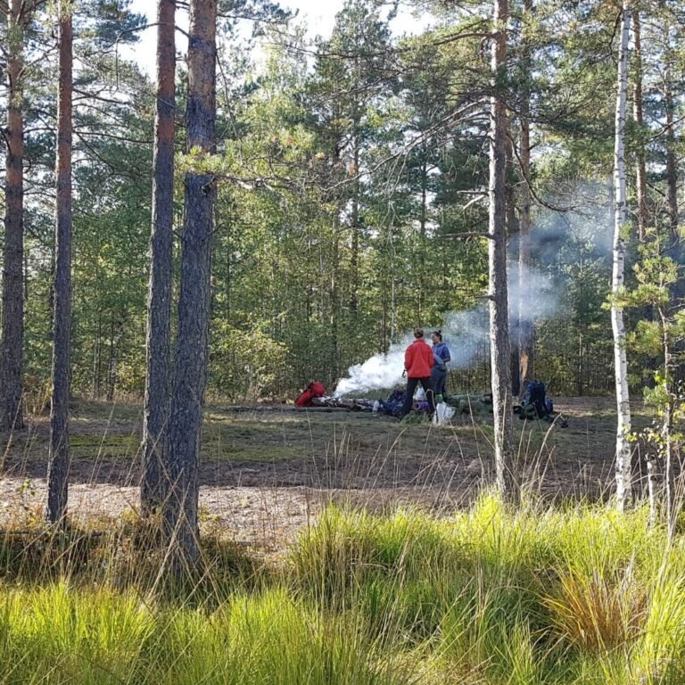 Острова Дулебы Зимние - фото 4