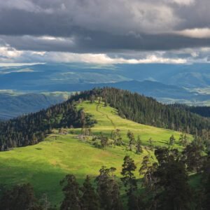 Недельный тур в Грузии - фото 5