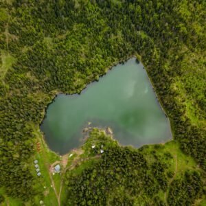 Туры в Боржоми - фото 9