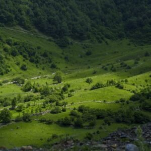 Недельный тур в Грузии - фото 10