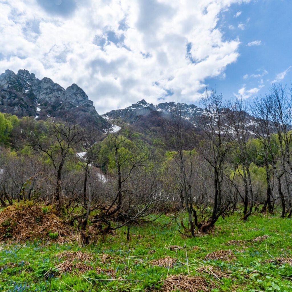 Туры в Рачу - фото 5