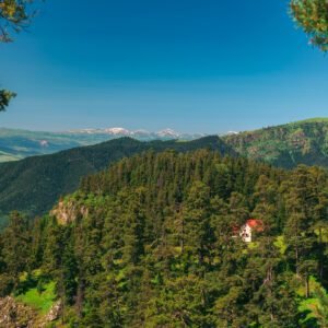 Однодневные туры в Грузии - фото 1