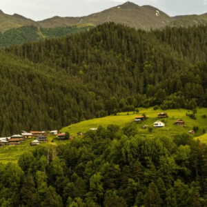 Тушетия: путешествие по самой живописной дороге Грузии - фото 2