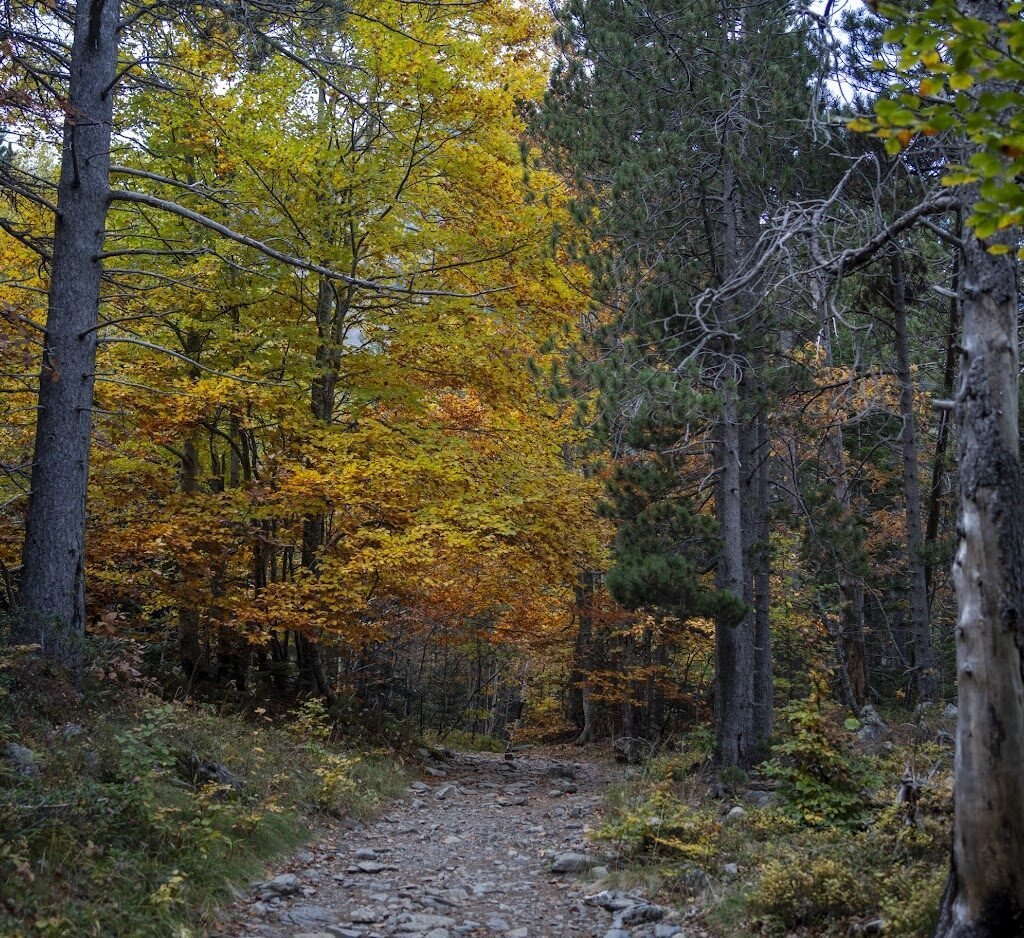 Pyrenees: A Week-Long Hiking Trip - фото 13