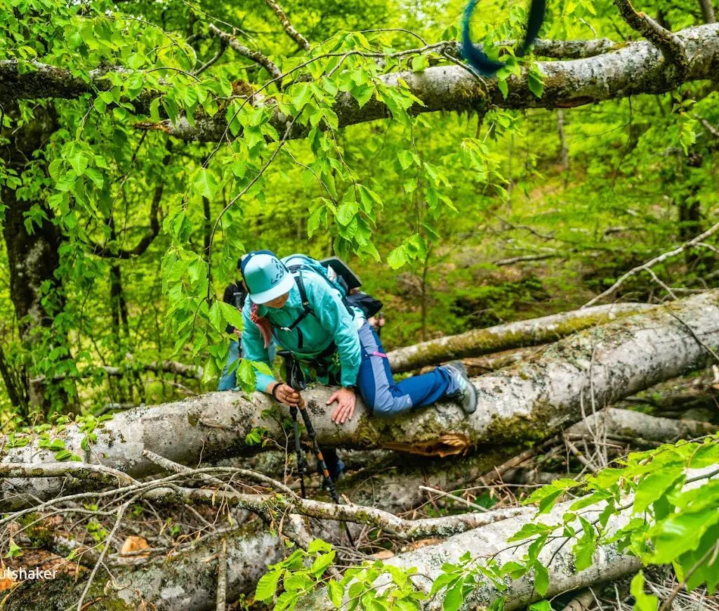 Racha, Georgia: Hiking, Trekking & Tours in Georgian Switzerland - фото 14