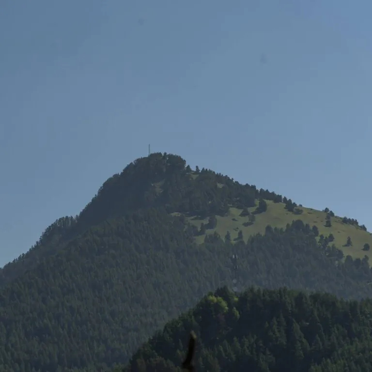 Transfer to Tusheti from Tbilisi and Kutaisi - фото 15