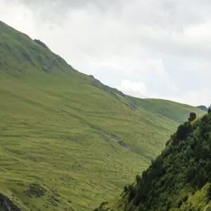 Туры в Тушетию - фото 11