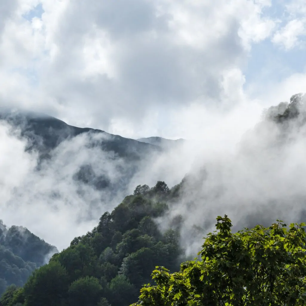 How to Get to Tusheti: The Abano Pass Road from Tbilisi - фото 1