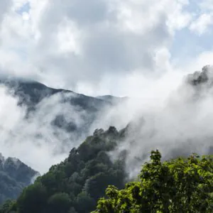 All tours and programs in Tusheti - фото 3