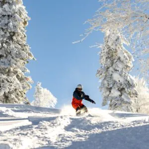 Goderdzi: Powder + Forest + Cat-Ski Without the Crowds - фото 11