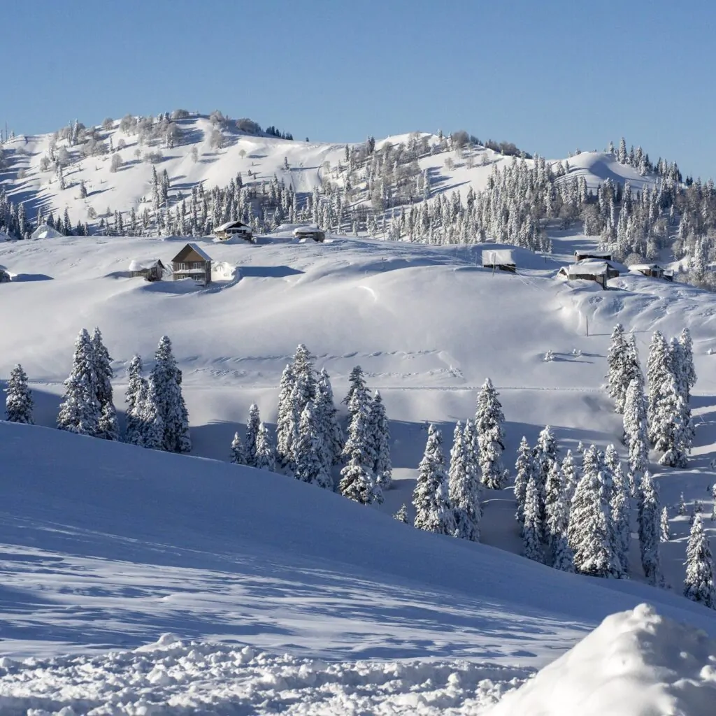 Фрирайд и скитур в Грузии: Гудаури, Годердзи, Бахмаро и Сванетии - фото 3