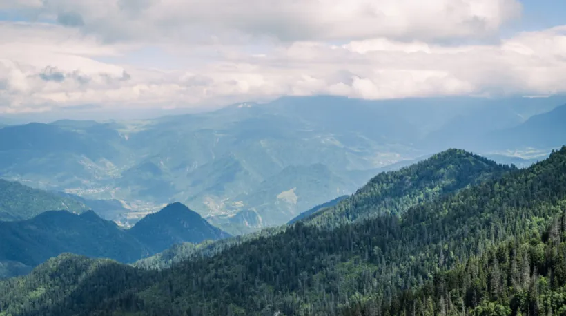 borjomi_ligth_124