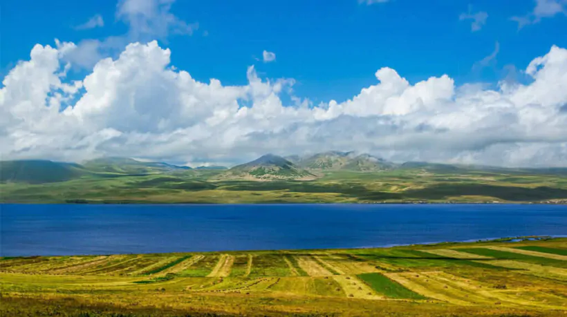 Паравани