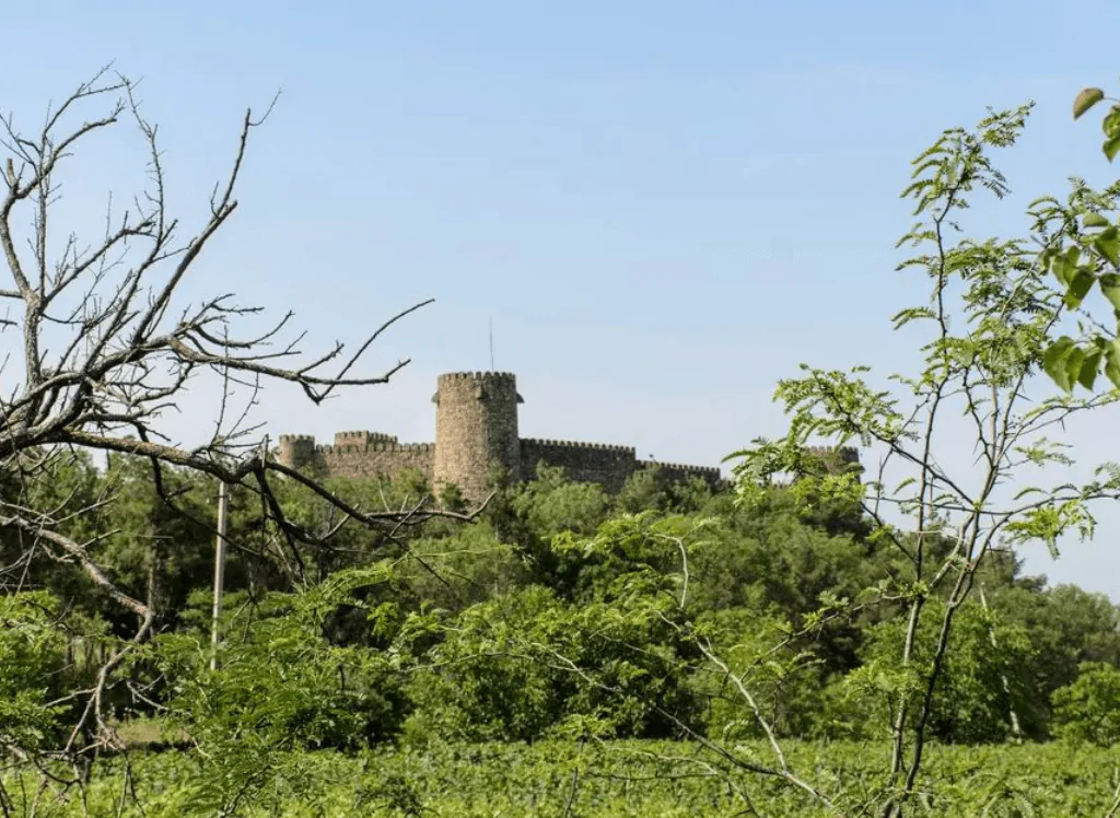 Тур в Ахалкалаки, Ниноцминде и Ахалцихе - фото 3