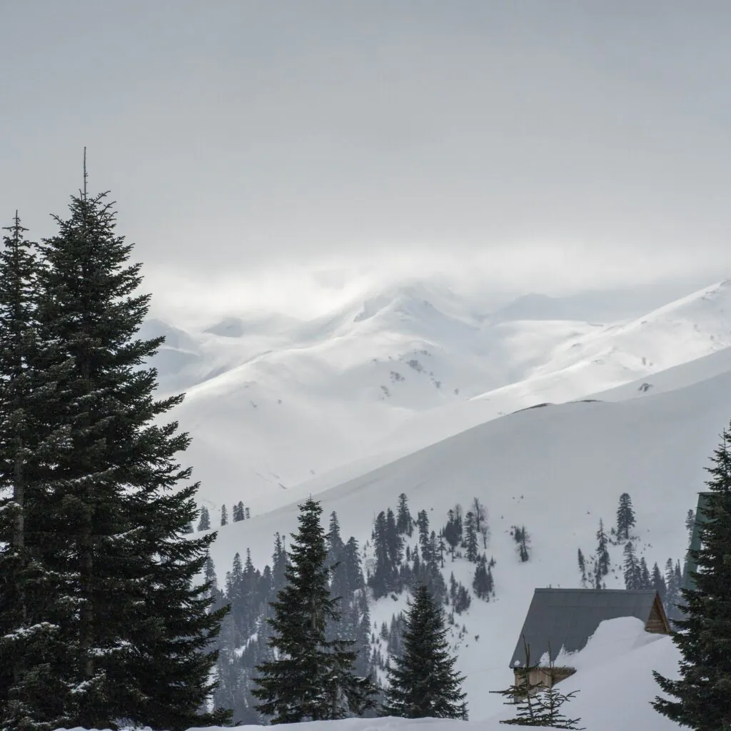 Горнолыжный тур в Гудаури: сочетание адреналина и комфорта - фото 6