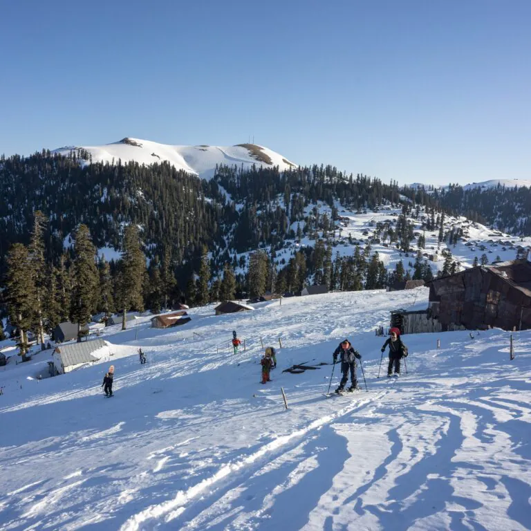 Бахмаро фрирайд и скитур - фото 10