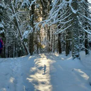 Freeride in Svaneti: 5 Days of True Freedom - фото 3