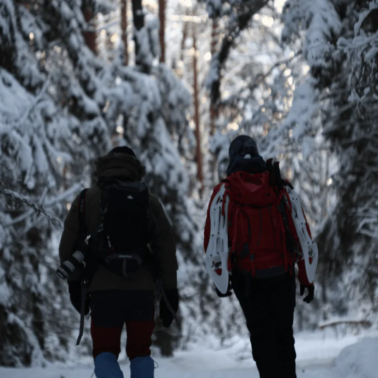Голубые озера. Зимний тур - фото 4