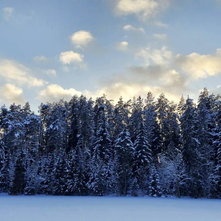 Голубые озера. Зимний тур - фото 5