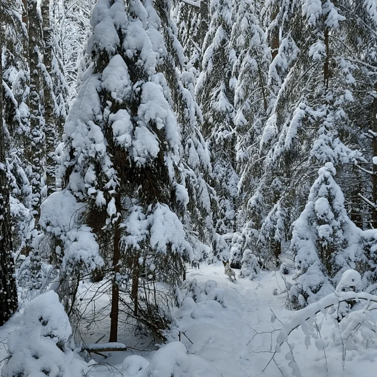 Голубые озера. Зимний тур - фото 7