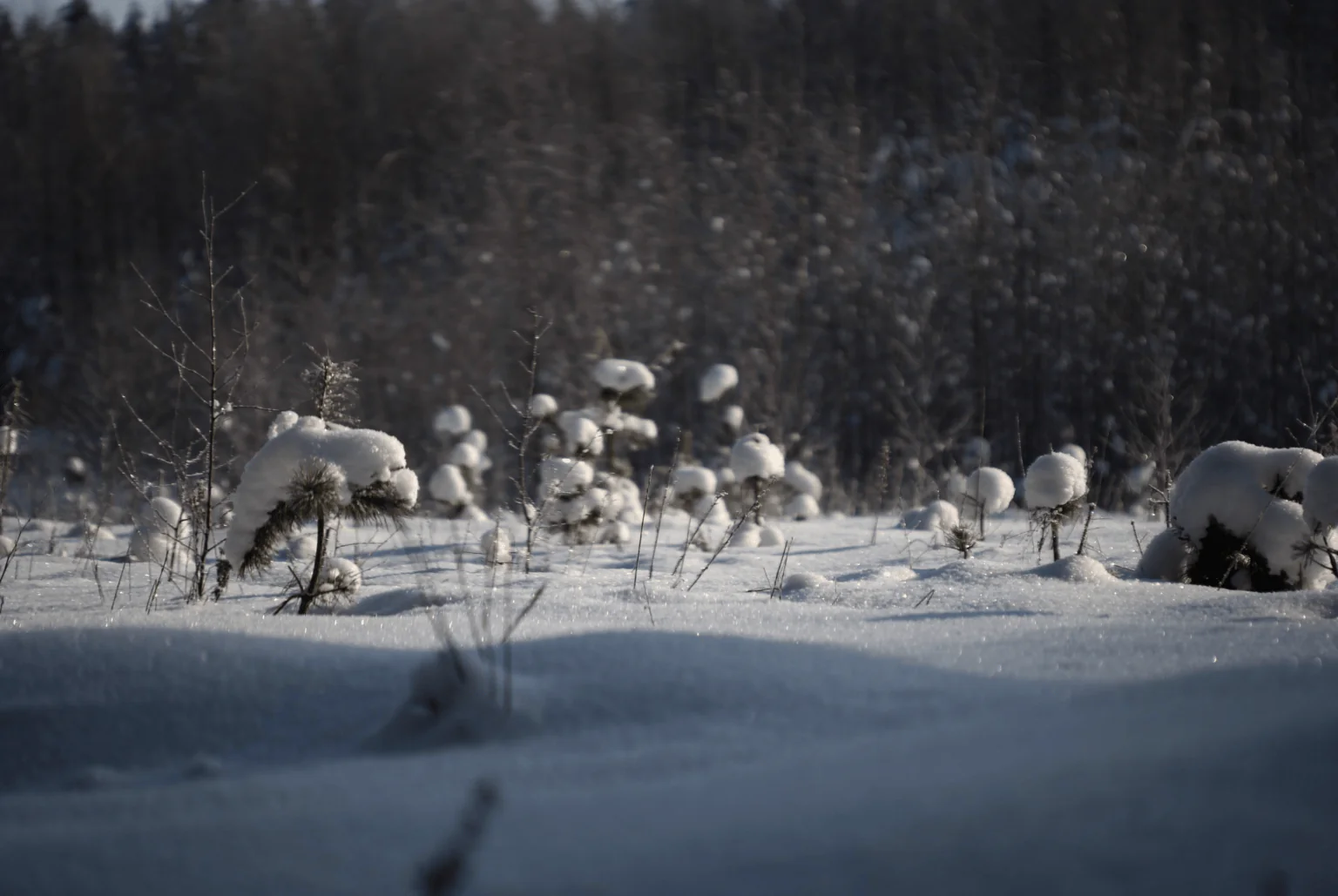 Голубые озера. Зимний тур - фото 2