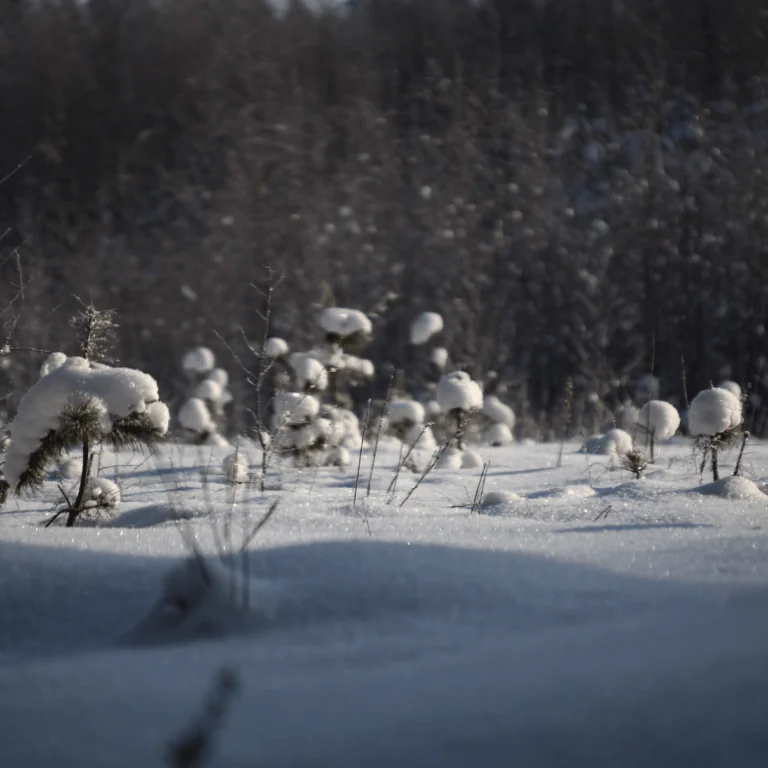 Голубые озера. Зимний тур - фото 9