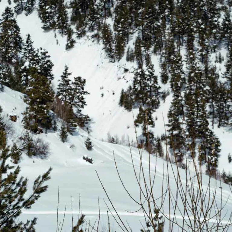Skitouring Adventure in Svaneti - фото 1 Skitouring Adventure in Svaneti - фото 1