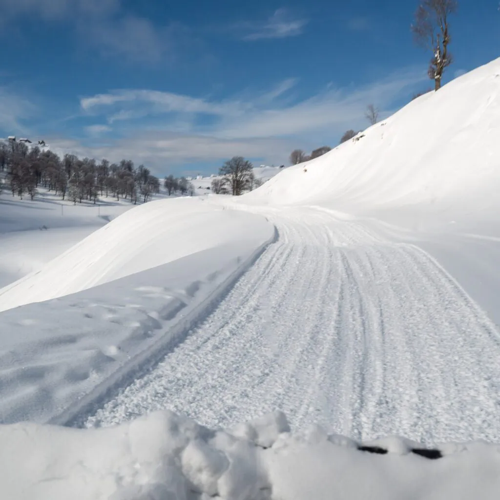 Goderdzi: Powder + Forest + Cat-Ski Without the Crowds - фото 14