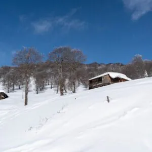 Годердзи: все туры и программы - фото 1