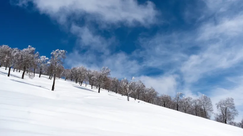 фрирайд гайд по годердзи