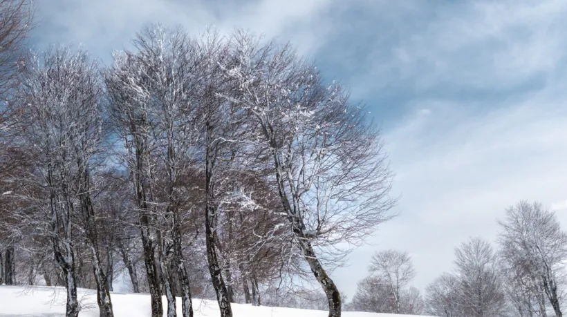 goderdzi_catski_feb_26-48