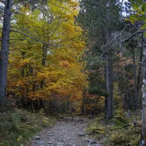 10 Reasons to Hike in the Pyrenees - фото 1
