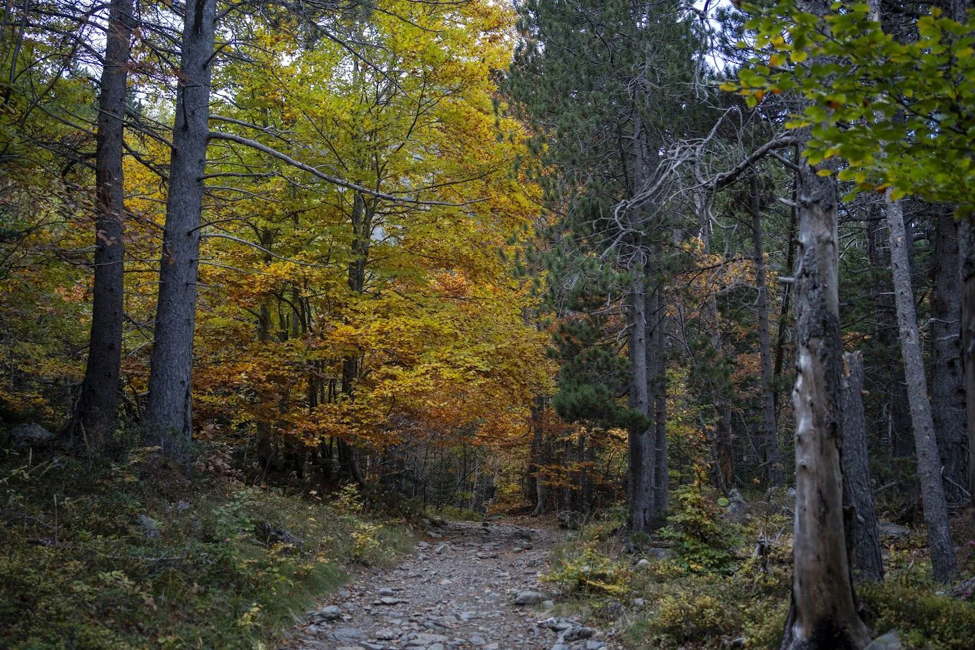 Pyrenees: A Week-Long Hiking Trip - фото 4