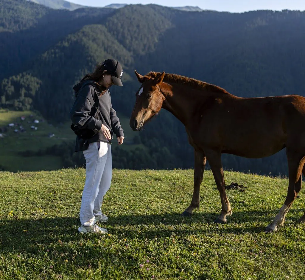 All tours and programs in Tusheti - фото 18