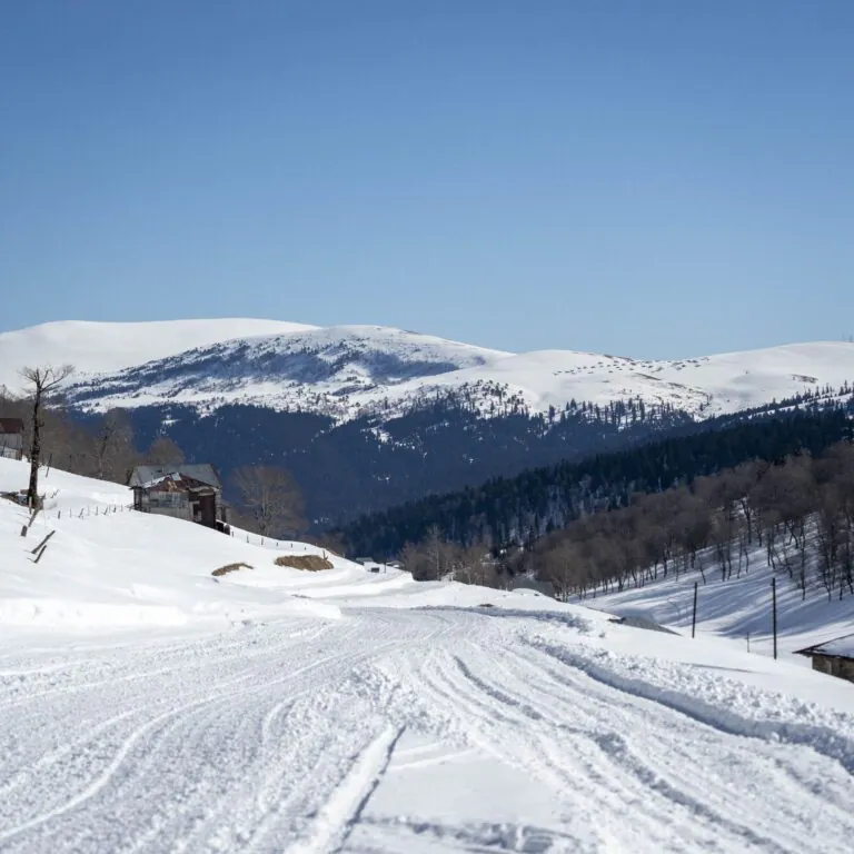 Goderdzi Cat-Ski: A Week in Powder Most Skiers Never Find - фото 4